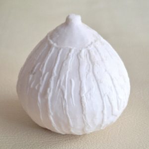 Coconut Pearl FP - 6601