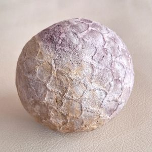 Gajmani - Elephant Head Pearl Type Gh SP - 7709