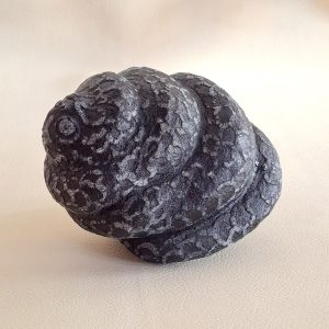 Javanese Snake Fossilized FS - 0301