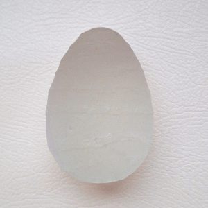 Shark Pearl AP - 1103