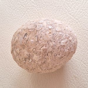 Stigi Tree Pearl TP - 6605