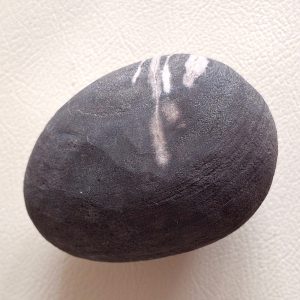 Varahamani - Wild Boar Head Pearl Type Wk SP - 7711